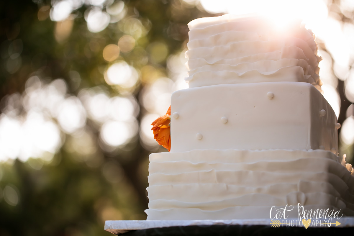 w-MabiJerryWedding_5977_CPennenga